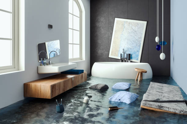 Best Water damage cleanup near me  in Scott City, KS