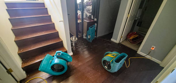 Best Carpet water damage restoration  in Scott City, KS