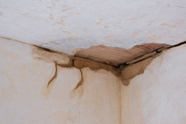 Best 24/7 water damage repair  in Scott City, KS