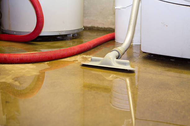 Best Water damage restoration near me  in Scott City, KS