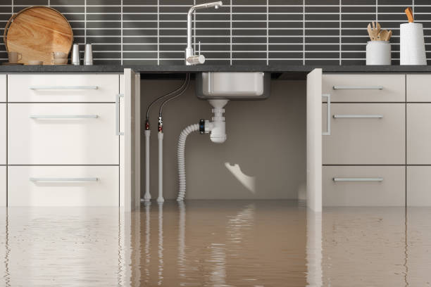 Best Flood restoration services  in Scott City, KS