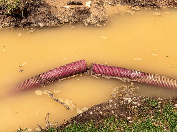 Best 24-hour water damage restoration  in Scott City, KS